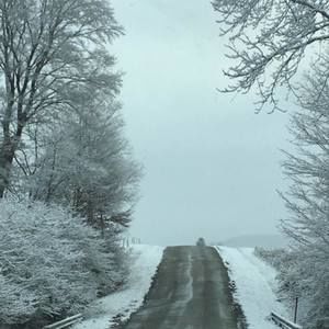 Meet your Posher, Molly